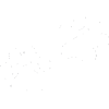 Feline Allergy & Dermatology