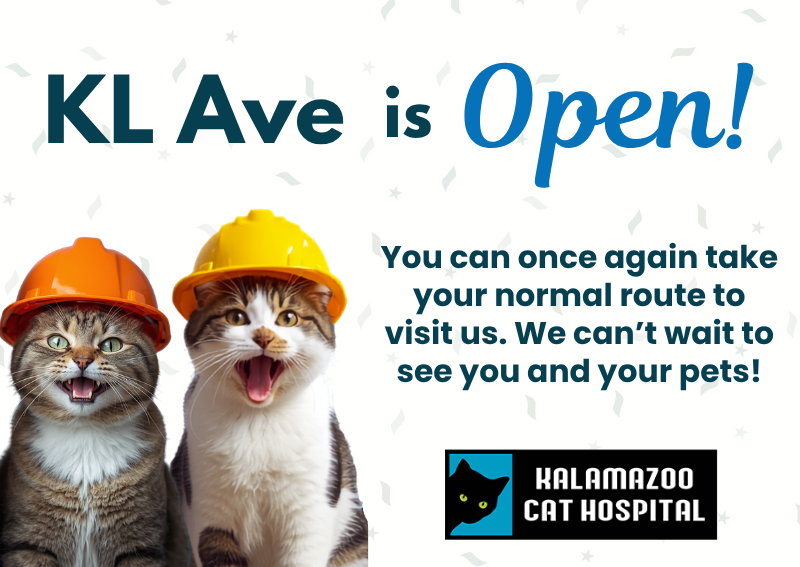 Carousel Slide 2: KL Ave is open