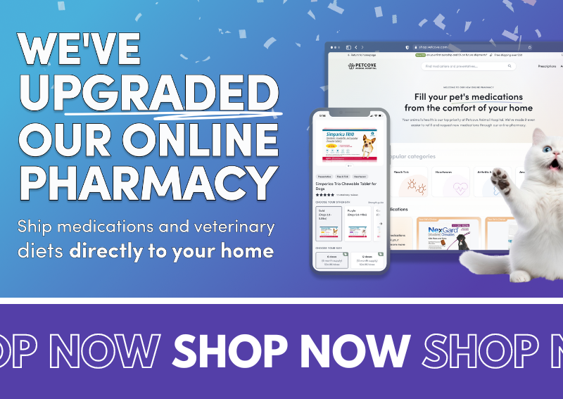 Carousel Slide 2: Shop our new online pharmacy!